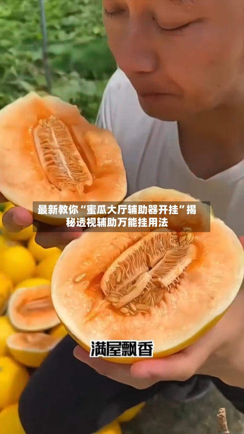 最新教你“蜜瓜大厅辅助器开挂	”揭秘透视辅助万能挂用法-第2张图片