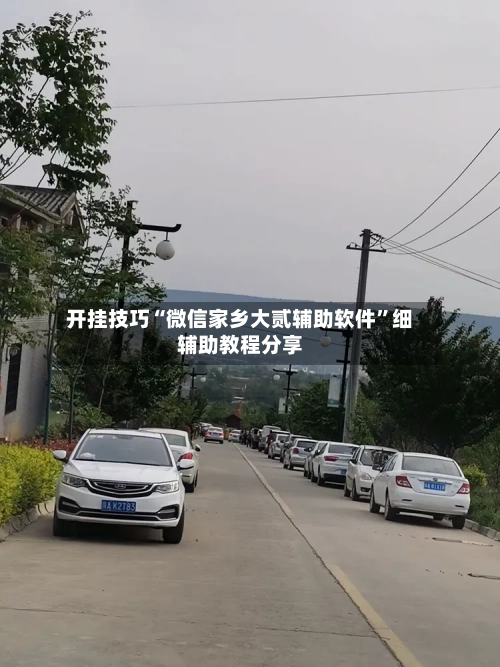 开挂技巧“微信家乡大贰辅助软件”细辅助教程分享-第3张图片