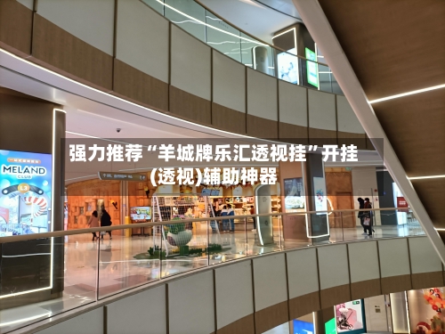 强力推荐“羊城牌乐汇透视挂	”开挂(透视)辅助神器-第3张图片
