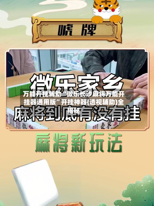 万能开挂辅助“微乐长沙麻将万能开挂器通用版”开挂神器{透视辅助}全揭秘-第3张图片
