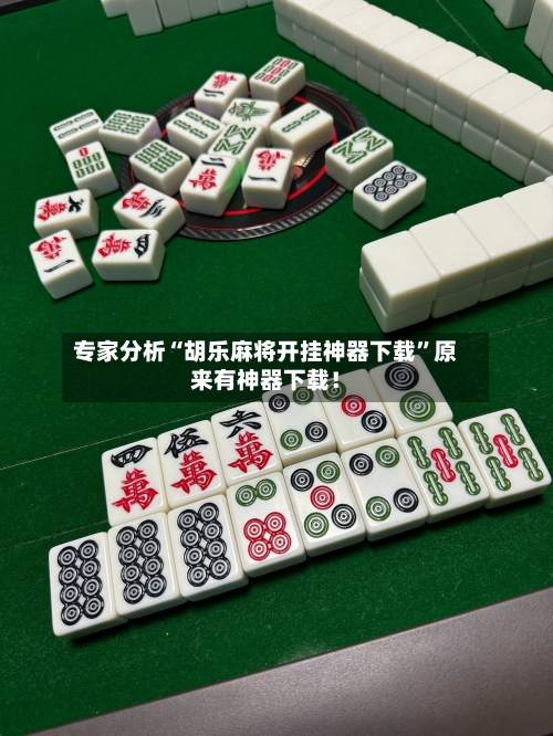 专家分析“胡乐麻将开挂神器下载”原来有神器下载！-第2张图片