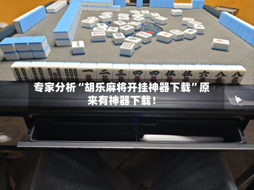 专家分析“胡乐麻将开挂神器下载”原来有神器下载！-第3张图片