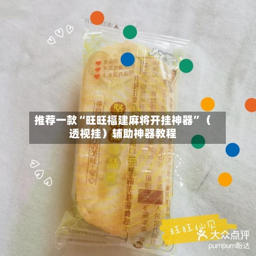 推荐一款“旺旺福建麻将开挂神器”（透视挂）辅助神器教程-第2张图片