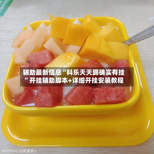辅助最新信息“科乐天天踢确实有挂”开挂辅助脚本+详细开挂安装教程