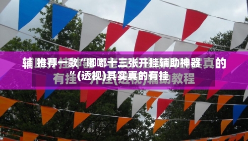 推荐一款“嘟嘟十三张开挂辅助神器	”(透视)其实真的有挂-第2张图片
