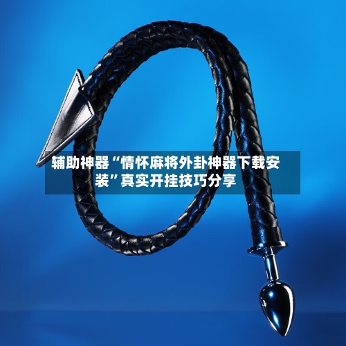辅助神器“情怀麻将外卦神器下载安装	”真实开挂技巧分享-第2张图片