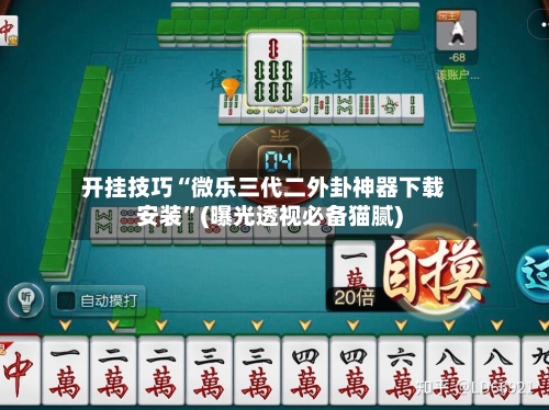 开挂技巧“微乐三代二外卦神器下载安装”(曝光透视必备猫腻)-第2张图片