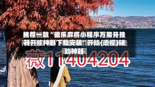 推荐一款“微乐麻将小程序万能开挂器开挂神器下载安装”开挂(透视)辅助神器-第2张图片