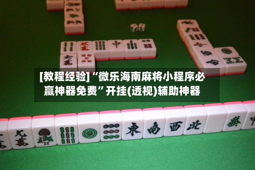 [教程经验]“微乐海南麻将小程序必赢神器免费”开挂(透视)辅助神器-第3张图片