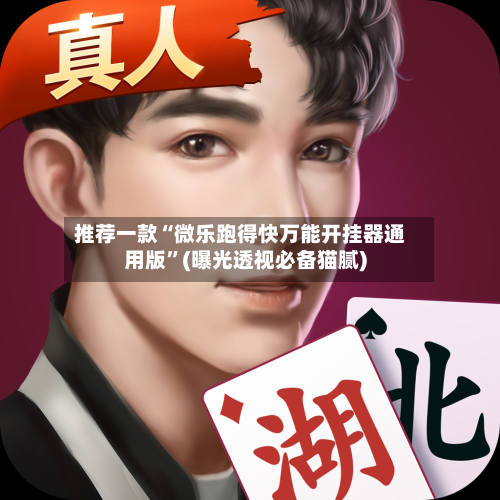 推荐一款“微乐跑得快万能开挂器通用版”(曝光透视必备猫腻)-第2张图片