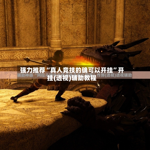 强力推荐“真人竞技的确可以开挂	”开挂(透视)辅助教程-第2张图片