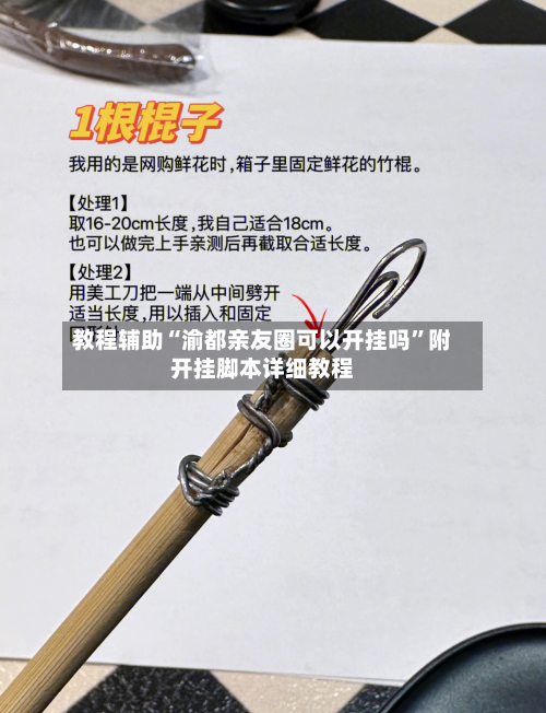 教程辅助“渝都亲友圈可以开挂吗”附开挂脚本详细教程-第3张图片