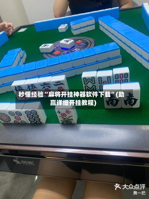 秒懂经验“麻将开挂神器软件下载”(助赢详细开挂教程)-第3张图片