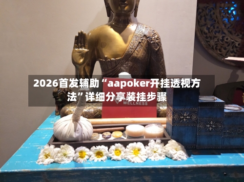 2026首发辅助“aapoker开挂透视方法”详细分享装挂步骤-第2张图片