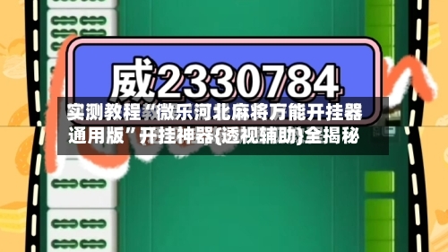 实测教程“微乐河北麻将万能开挂器通用版	”开挂神器{透视辅助}全揭秘-第2张图片