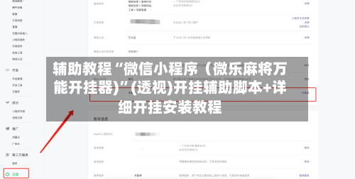 辅助教程“微信小程序（微乐麻将万能开挂器)	”(透视)开挂辅助脚本+详细开挂安装教程-第2张图片
