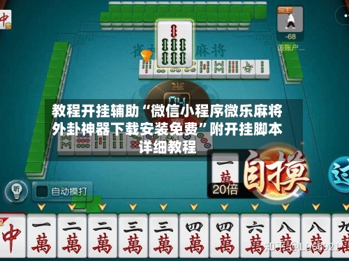 教程开挂辅助“微信小程序微乐麻将外卦神器下载安装免费”附开挂脚本详细教程-第3张图片