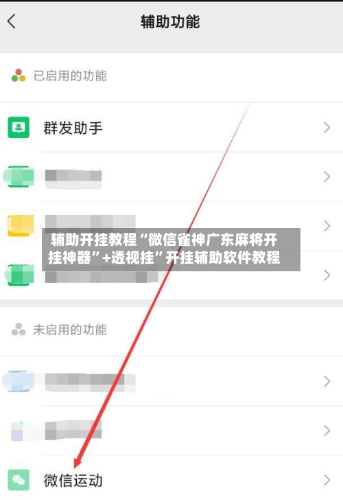辅助开挂教程“微信雀神广东麻将开挂神器”+透视挂”开挂辅助软件教程-第2张图片