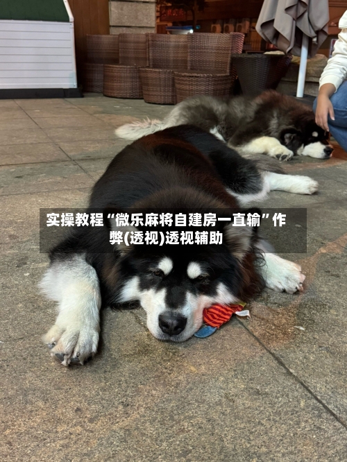 实操教程“微乐麻将自建房一直输”作弊(透视)透视辅助-第2张图片