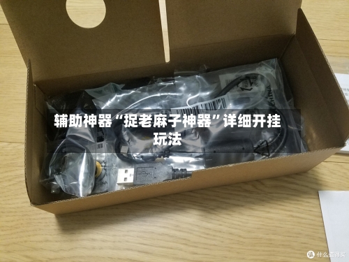 辅助神器“捉老麻子神器”详细开挂玩法-第2张图片