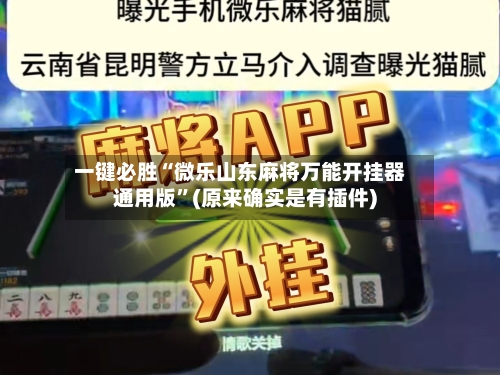 一键必胜“微乐山东麻将万能开挂器通用版”(原来确实是有插件)-第3张图片
