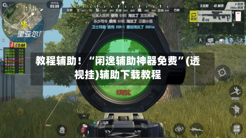 教程辅助！“闲逸辅助神器免费	”(透视挂)辅助下载教程-第2张图片