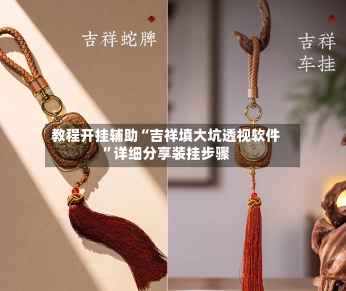 教程开挂辅助“吉祥填大坑透视软件	”详细分享装挂步骤-第2张图片