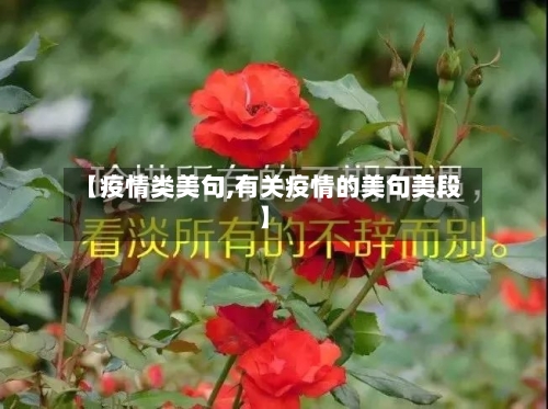 【疫情类美句,有关疫情的美句美段】
