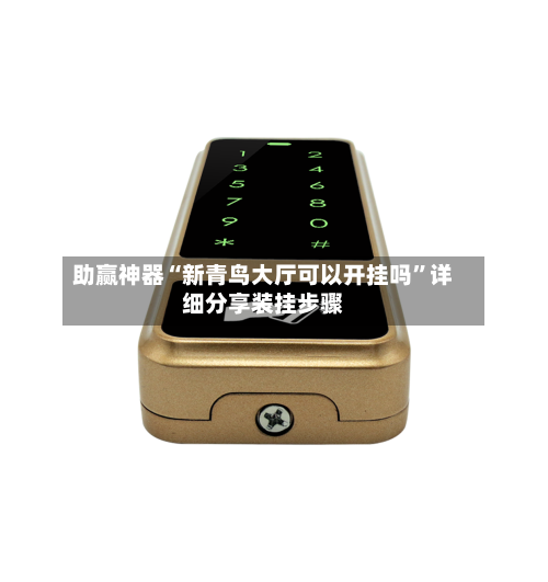 助赢神器“新青鸟大厅可以开挂吗	”详细分享装挂步骤-第3张图片