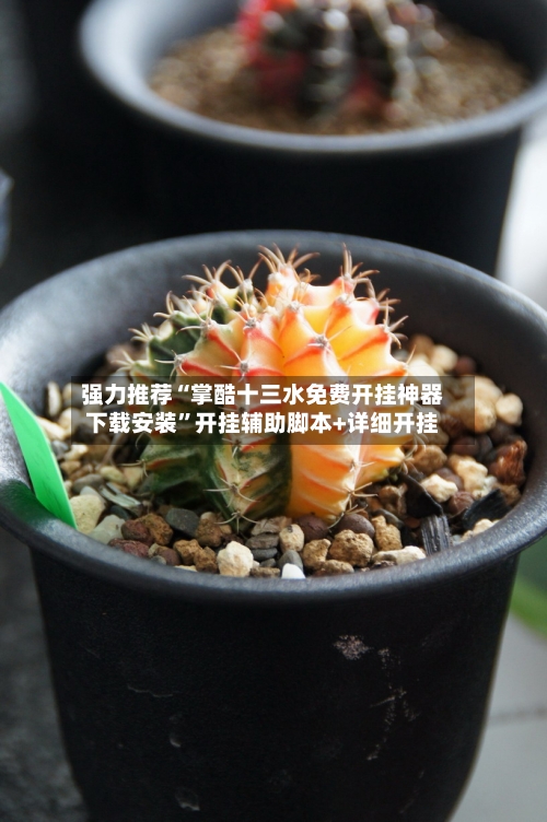 强力推荐“掌酷十三水免费开挂神器下载安装	”开挂辅助脚本+详细开挂-第2张图片
