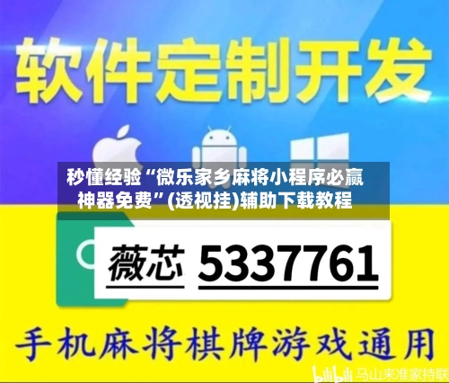 秒懂经验“微乐家乡麻将小程序必赢神器免费”(透视挂)辅助下载教程-第2张图片