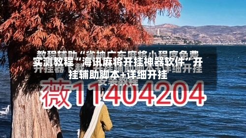实测教程“海讯麻将开挂神器软件”开挂辅助脚本+详细开挂-第3张图片