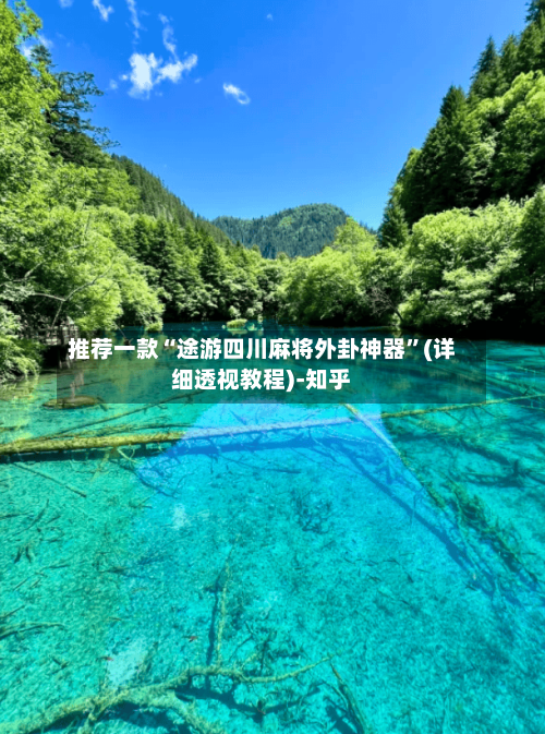 推荐一款“途游四川麻将外卦神器”(详细透视教程)-知乎-第2张图片