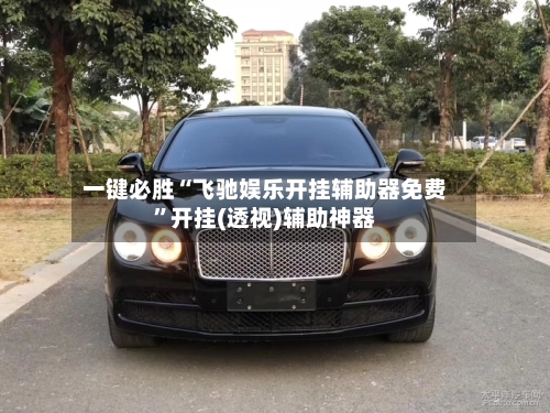 一键必胜“飞驰娱乐开挂辅助器免费”开挂(透视)辅助神器-第3张图片