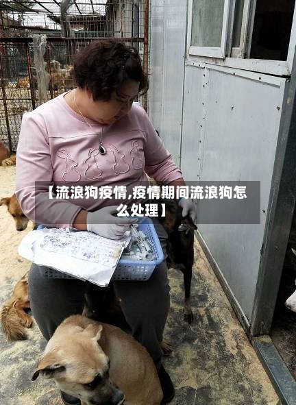 【流浪狗疫情,疫情期间流浪狗怎么处理】