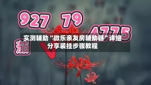 实测辅助“微乐亲友房辅助器	”详细分享装挂步骤教程-第2张图片