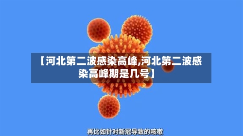 【河北第二波感染高峰,河北第二波感染高峰期是几号】