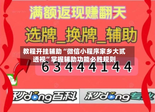 教程开挂辅助“微信小程序家乡大贰透视”掌握辅助功能必胜规则