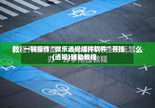 一键操作“微乐透视插件软件”开挂(透视)辅助教程