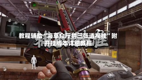 教程辅助“海草众厅拼三张透视挂”附开挂脚本详细教程-第2张图片