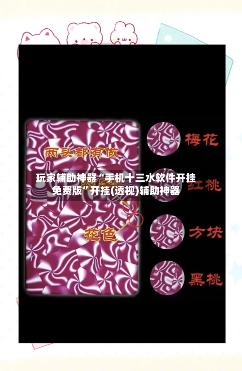 玩家辅助神器“手机十三水软件开挂免费版	”开挂(透视)辅助神器-第2张图片