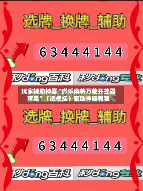 玩家辅助神器“微乐麻将万能开挂器苹果”（透视挂）辅助神器教程-第3张图片