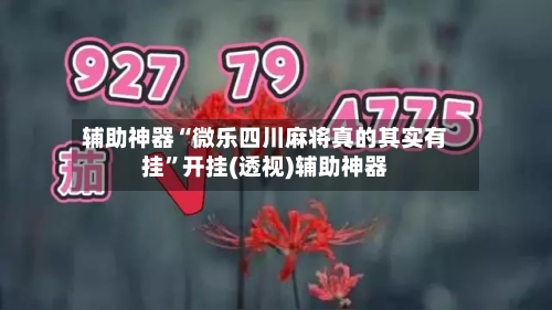 辅助神器“微乐四川麻将真的其实有挂	”开挂(透视)辅助神器-第2张图片