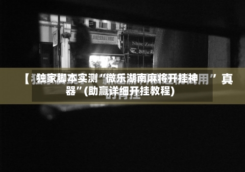 独家脚本实测“微乐湖南麻将开挂神器”(助赢详细开挂教程)-第3张图片