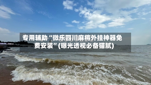 专用辅助“微乐四川麻将外挂神器免费安装	”(曝光透视必备猫腻)-第2张图片