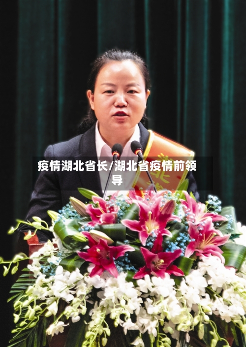 疫情湖北省长/湖北省疫情前领导-第3张图片