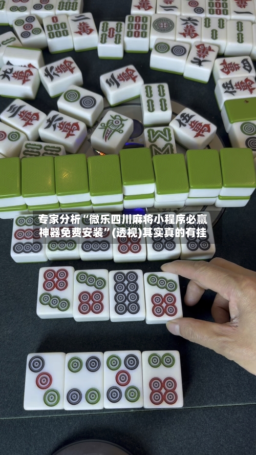 专家分析“微乐四川麻将小程序必赢神器免费安装”(透视)其实真的有挂-第3张图片