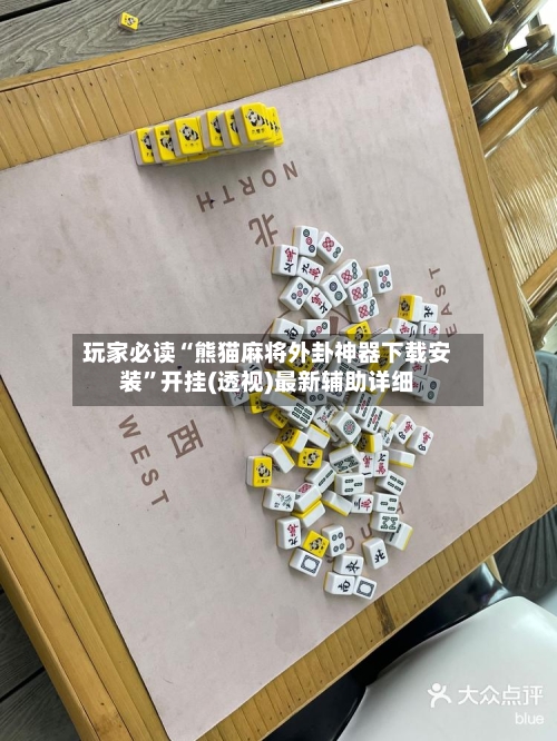 玩家必读“熊猫麻将外卦神器下载安装”开挂(透视)最新辅助详细-第2张图片