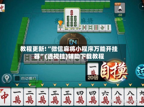 教程更新!“微信麻将小程序万能开挂器”(透视挂)辅助下载教程-第3张图片