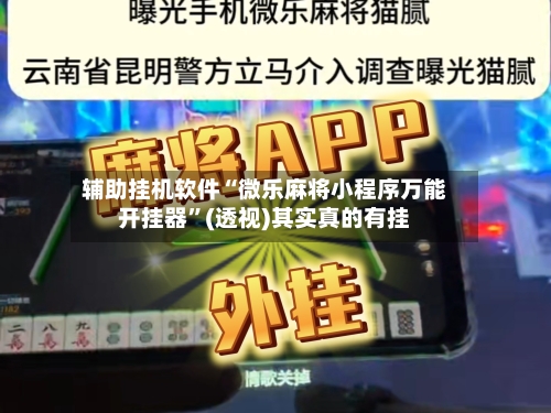 辅助挂机软件“微乐麻将小程序万能开挂器”(透视)其实真的有挂-第3张图片